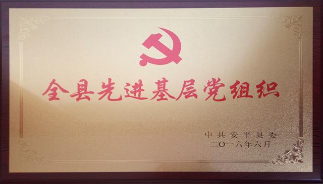 全縣先進(jìn)基層黨組織