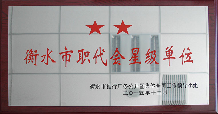 衡水市職代會星級單位