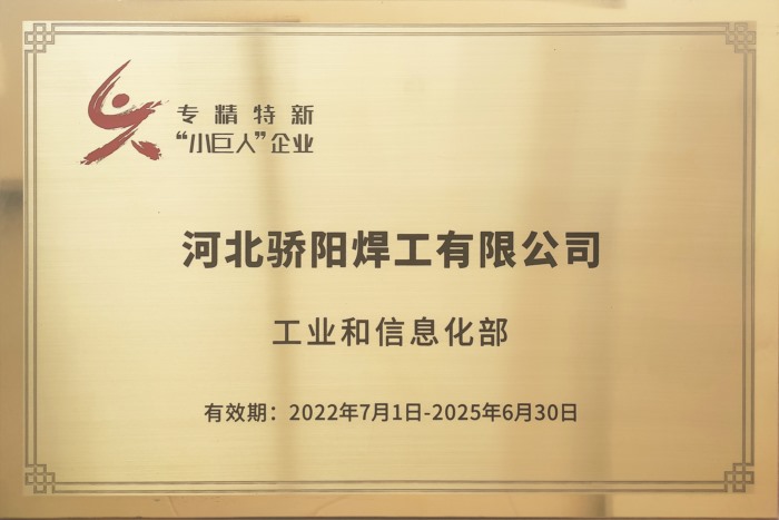 專(zhuān)精特新“小巨人”企業(yè)